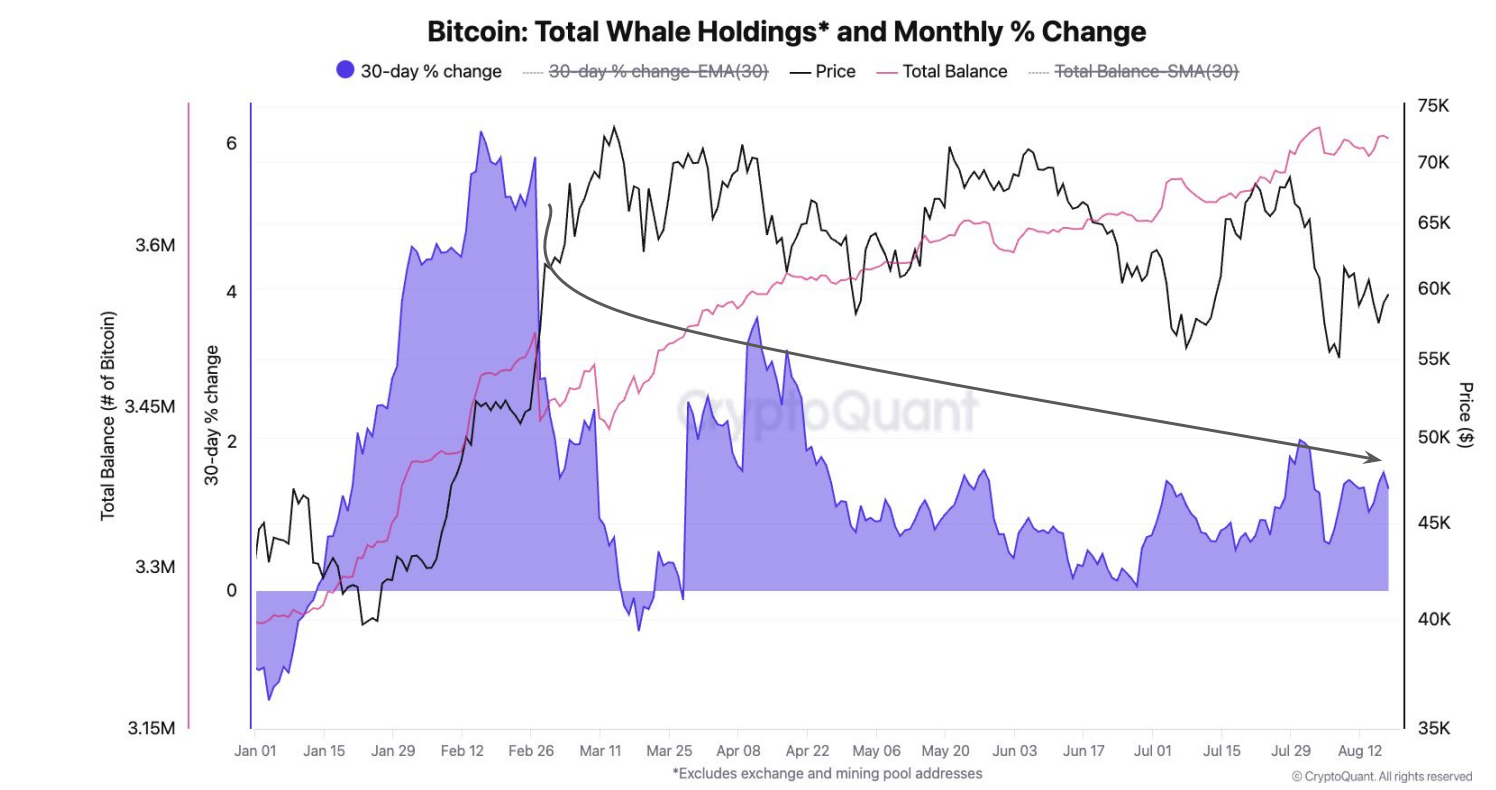 blockchain crypto cryptocurrency Bitcoin whale holing growth slows (SpotedCrypto)