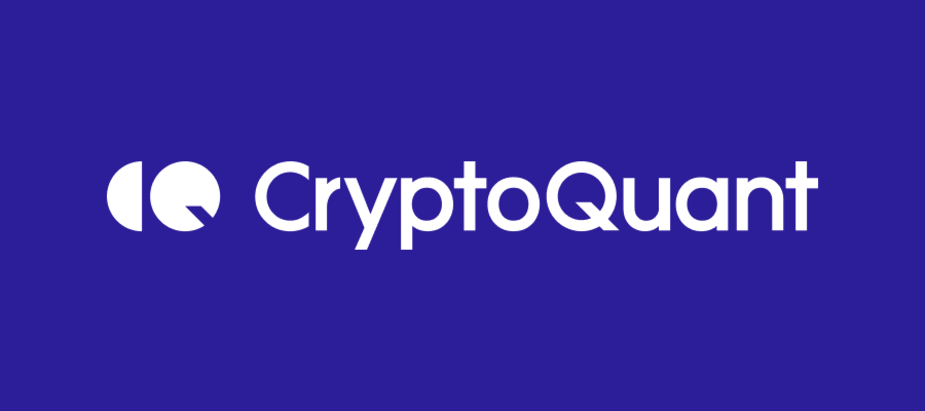 "Manage crypto investment risk with on-chain data," says CryptoQuant CEO Ki-Young Joo