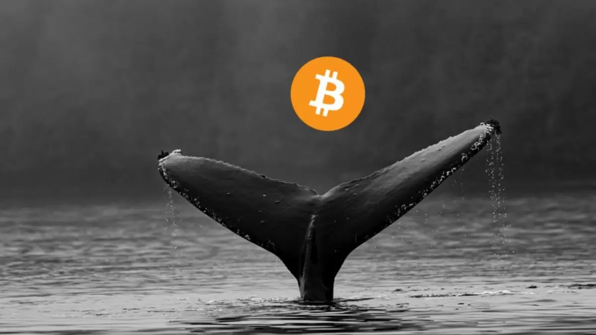 BTC Big Whales Move to Transfer Out of Wallets After Spot ETF Approval...Potentially Braking Bull Market.