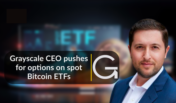 blockchain crypto cryptocurrency grayscale option on spot bitcoin ETFs (SpotedCrypto)