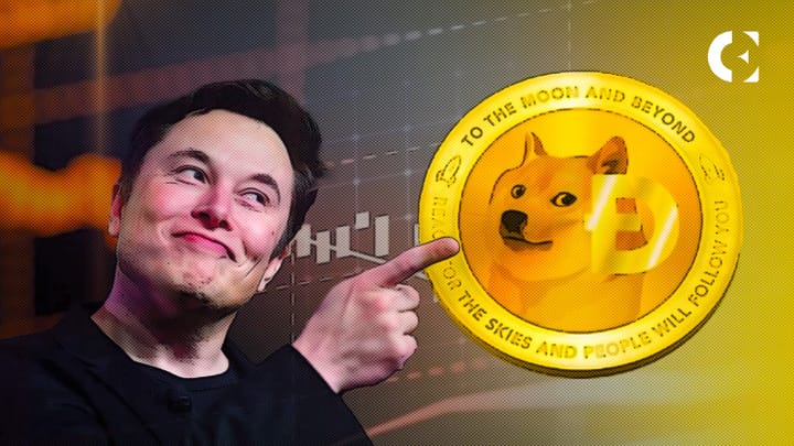 blockchain crypto cryptocurrency doge elon (SpotedCrypto)