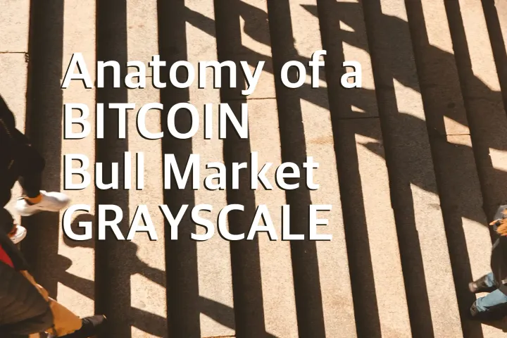 blockchain crypto cryptocurrency grayscale report anatomy-of-a-bitcoin-bull-market (SpotedCrypto)