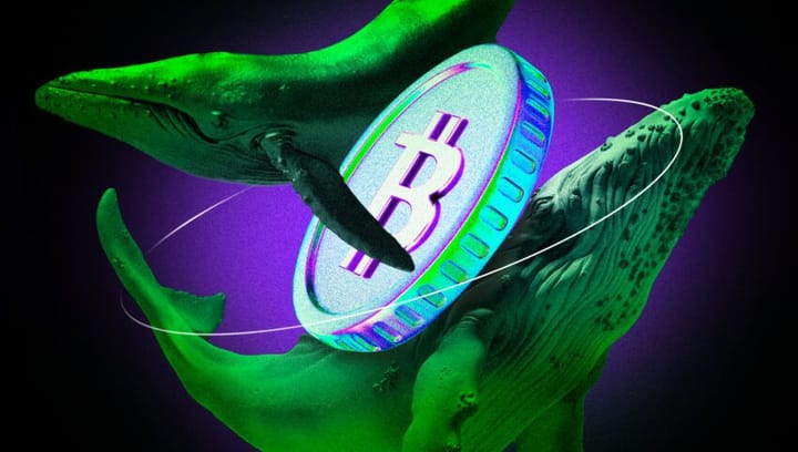 blockchain crypto cryptocurrency Bitcoin whale holing growth slows (SpotedCrypto)